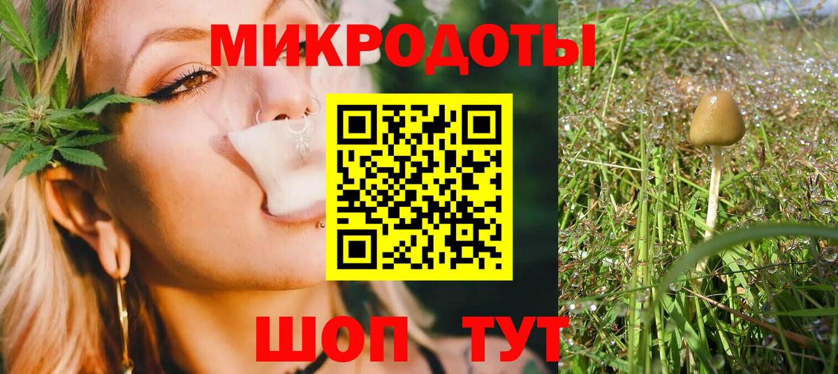 Псилоцибиновые грибы Cubensis Нижнеудинск