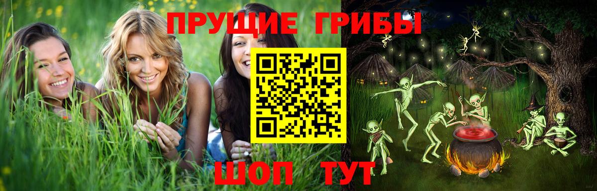Нижнеудинск  Галлюциногенные грибы Psilocybine cubensis  Вход с VPN 